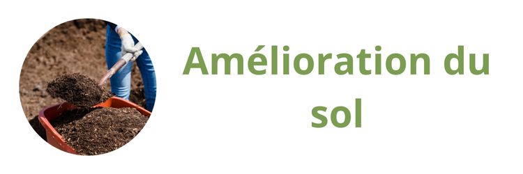Amélioration du sol